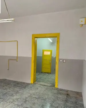 Spațiu comercial central Satu Mare  - imagine 10