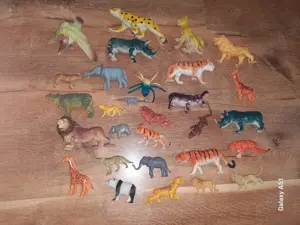 Lot Animale Salbatice