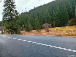 teren de vinzare  - imagine 2