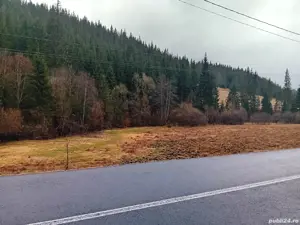 teren de vinzare  - imagine 3