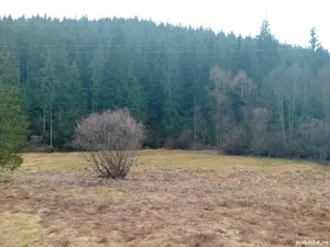 teren de vinzare  - imagine 4