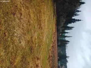 teren de vinzare  - imagine 7