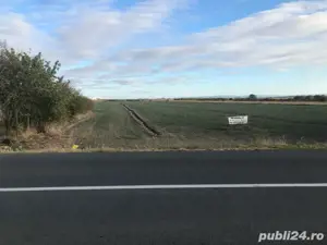 teren 75 ari  front 23 sau 37 linga Aquastar