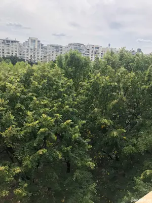 vand teren cernica cu utilitati 400 m com cernica sat posta 330 mp curte 70 mp drum la 35.000 eu