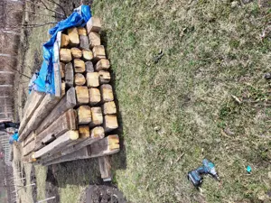 Vand grinzi bârne vechi