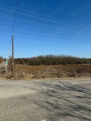 Vand teren Vedea ARGES Sat Fata - imagine 6