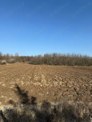 Vand teren Vedea ARGES Sat Fata - imagine 11