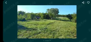 Vând teren intravilan in Oradea, strada Livezilor  - imagine 2