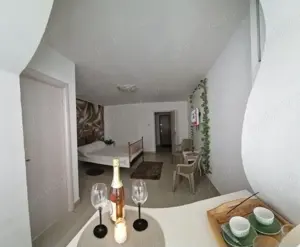 Cazare in Regim hotelier Craiova garsoniera - imagine 4 Cazare in Regim hotelier Craiova garsoniera - imagine 4