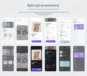 Aplicații pentru licență - Informatică - Automatică și alte facultăți - imagine 3