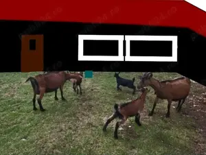 Vând -.Schimb -ieduți- ieduțe 