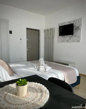 Ofer cazare în Mosnita Noua  - imagine 2