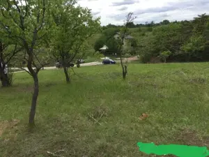 Dau in folosinta & Asociere  5000 m teren Tomesti -Podul Vatafului str. Releu - imagine 3