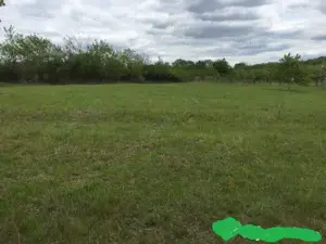 Dau in folosinta & Asociere  5000 m teren Tomesti -Podul Vatafului str. Releu - imagine 4