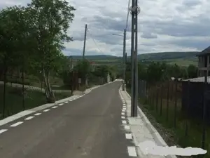 Dau in folosinta & Asociere  5000 m teren Tomesti -Podul Vatafului str. Releu - imagine 6