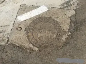 Dau in folosinta & Asociere  5000 m teren Tomesti -Podul Vatafului str. Releu - imagine 5