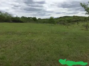 Dau in folosinta & Asociere  5000 m teren Tomesti -Podul Vatafului str. Releu - imagine 2