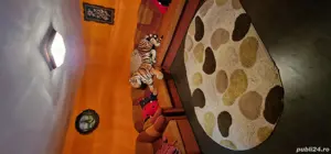 Casa de Vanzare - imagine 2