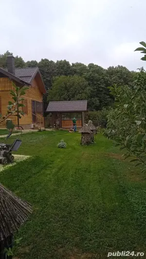 Ofer servicii de Amenajare și reamenajare spatii verzi și instalații sanitare și termice 