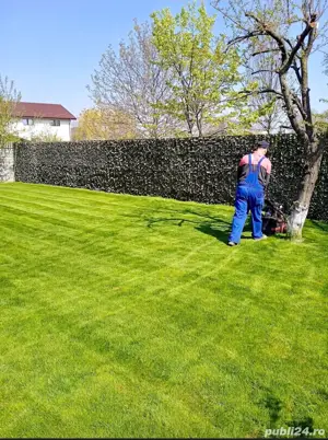 Ofer servicii de Amenajare și reamenajare spatii verzi și instalații sanitare și termice  - imagine 4