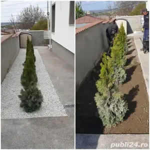 Ofer servicii de Amenajare și reamenajare spatii verzi și instalații sanitare și termice  - imagine 3