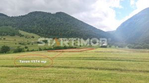 Teren intravilan Zarnesti - imagine 7