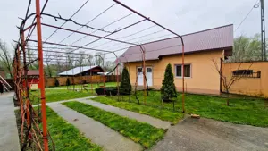 Casa P+M cu 1500 mp teren intravilan in Valea Mare - imagine 11