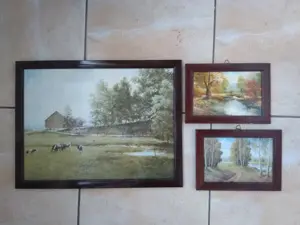 Vând tablouri - imagine 3