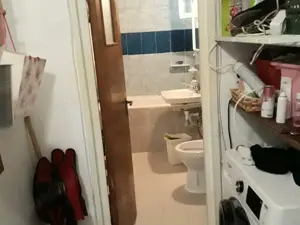 Colentina Rau, Mc Donald's, Parc Plumbuita, Scoala 39 stradal 2 balcoane pret bun ocazie investitie - imagine 18