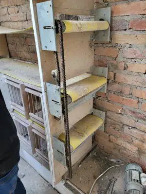 Boxe cu bandă pentru porumbei  - imagine 2