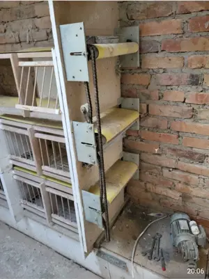 Boxe cu bandă pentru porumbei  - imagine 4