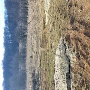 Vand teren extravilan în sat Boteni jud. Cluj  - imagine 4