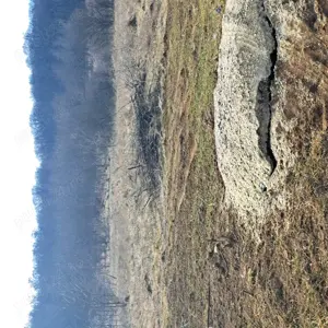 Vand teren extravilan în sat Boteni jud. Cluj  - imagine 2