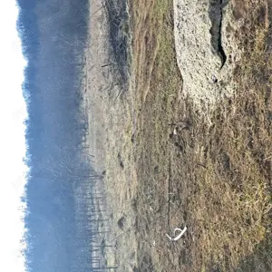 Vand teren extravilan în sat Boteni jud. Cluj  - imagine 6