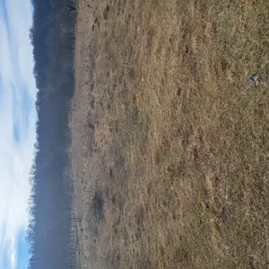 Vand teren extravilan în sat Boteni jud. Cluj  - imagine 10