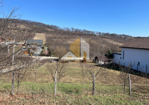 Teren intarvilan de vanzare - Valea Rusului. - imagine 6 Teren intarvilan de vanzare - Valea Rusului. - imagine 6