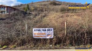 FILM!2.580mp, intravilan,construibil, sursa proprie apa, Valea Iubirii,Corunca, acces facil viaTargu - imagine 4