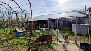 Casa P+M cu 1500 mp teren intravilan in Valea Mare - imagine 10
