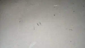 Vand apartament 2 camere in Deva, zona Micro 15 (Lidl), parter inalt, situat pe mijloc, izolat  - imagine 3