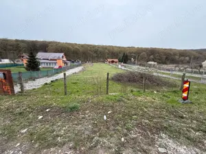 Teren de Vanzare Intravilan - imagine 7