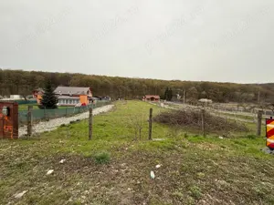 Teren de Vanzare Intravilan - imagine 6