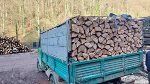 vand lemne de foc   la pret convenabil  am esenta tare  cer,fag,carpen,stejar lemnele se pot fasona 