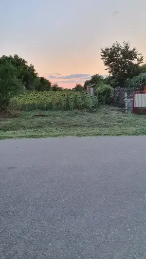 Vand teren intravilan Ilfov, Nuci, Merii Petchii - imagine 9