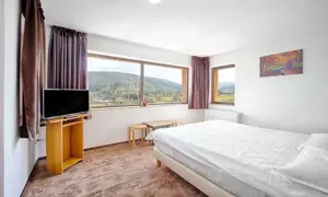 Pensiune Turistica Montana - imagine 3