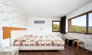 Pensiune Turistica Montana - imagine 16