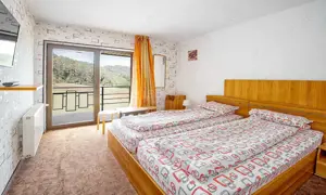 Pensiune Turistica Montana - imagine 6