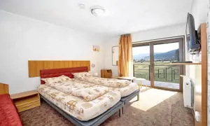 Pensiune Turistica Montana - imagine 4