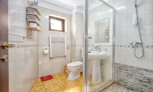 Pensiune Turistica Montana - imagine 10