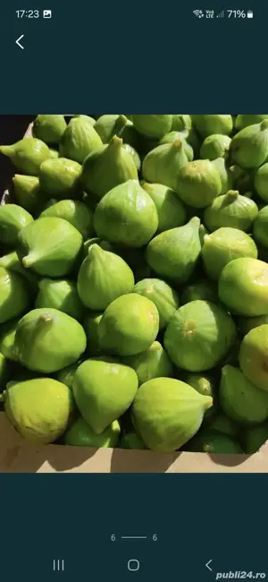 Dulceața de smochine și gem de smochine fără îndulcitori  - imagine 3