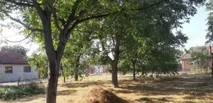 Vand teren intravilan, loc de casa in orasul Pecica - imagine 2